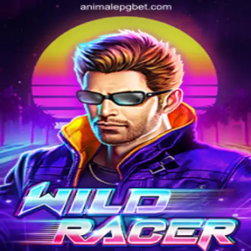 Exploring WildRacer: Brazil's Premier Online Casino Experience